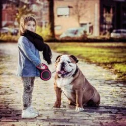 IGOODS - Uitlaatriem - Honden Riem - Katten Riem - Uitlaatriem Voor Dieren - Rollijn - 5 Meter Lang Roze 16 IGOODS - Uitlaatriem - Honden Riem - Katten Riem - Uitlaatriem Voor Dieren - Rollijn - 5 Meter Lang Roze -Huisdierbenodigdheden Korting 1200x1200 81