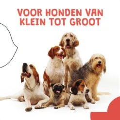 JC Pets Ultrasone Anti Blaf Apparaat Voor Kleine En Grote Honden - Oplaadbaar - Alternatief Anti Blafband Voor Honden - Diervriendelijk & Zonder Schok -Huisdierbenodigdheden Korting 1200x1200 814