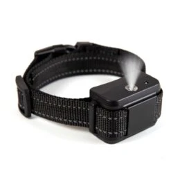 Anti Blafband - Met Spray Correctie! Diervriendelijke Training Voor Uw Hond! Furline® -Huisdierbenodigdheden Korting 1200x1200 819