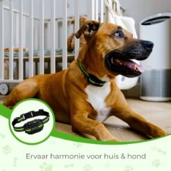 Petz - Anti Blafband - Anti Blafband Voor Kleine En Grote Honden - 5-55 KG - Vibratie En Audio - Diervriendelijk - GEEN Schokken - Opvoedingshalsband Zonder Schok En Diervriendelijk - Waterdicht - Oplaadbaar -Huisdierbenodigdheden Korting 1200x1200 822