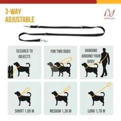 Happilax Dog Leash 2m Adjustable - Black/Reflective - 3-Step Adjustable Leash - Double Leash, Tug Leash - Geschikt Als Hondenriem Voor Grote Honden Of Als Sleepriem Voor Kleine Honden. -Huisdierbenodigdheden Korting 1200x1200 84