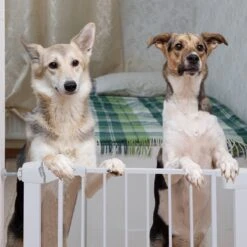 Nobleza 47B4V - Hondenhek - Metaal - H76 X L75-82 Cm - Wit -Huisdierbenodigdheden Korting 1200x1200 891