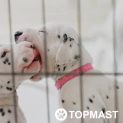 Topmast Puppyren Uitvouwbaar - Zwart - 560 Cm Omtrek - 60 Cm Hoog - Opvouwbaar XL - Hondenren -Huisdierbenodigdheden Korting 1200x1200 933