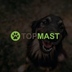 Merkloos Topmast Premium Puppyren - 120 Cm Hoog - 640 Cm Omtrek - Hondenren - Hondenhok - Zwart -Huisdierbenodigdheden Korting 1200x1200 954