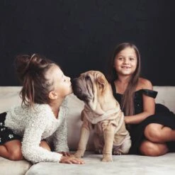 Relaxdays Puppyren - Hondenren - Puppykennel - Konijnenren - Bodem - Metaal - Div. Grootte - M -Huisdierbenodigdheden Korting 1200x1200 957