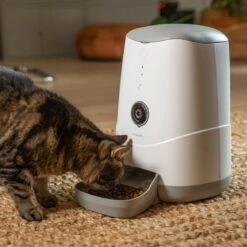 Pettadore Nutri View - Voerautomaat Kat/Hond - Smart Met Camera En App - Wit - 3.7 L -Huisdierbenodigdheden Korting 1200x1200 991