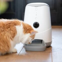 Pettadore Nutri View - Voerautomaat Kat/Hond - Smart Met Camera En App - Wit - 3.7 L -Huisdierbenodigdheden Korting 1200x1200 992