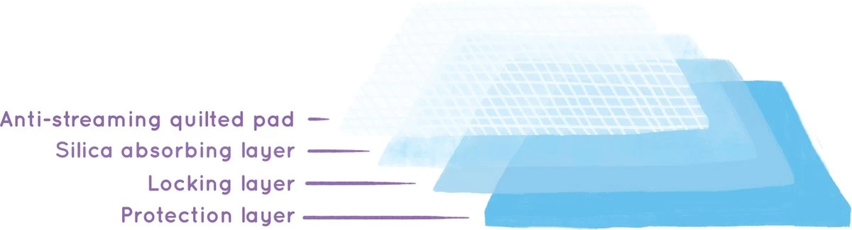 Easypets Puppy Training Pads - Zindelijkheidstraining - Hondentoilet - 58 X 58 Cm - 250 Stuks 6 Easypets Puppy Training Pads - Zindelijkheidstraining - Hondentoilet - 58 X 58 Cm - 250 Stuks - Image 4