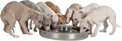 Trixie Puppy Voerbak - Puppytrog- Puppysaucer RVS -Huisdierbenodigdheden Korting 1200x406 1