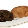 COSY AND DOZY Cat Shelf Deluxe WIT – Hangmat Kat – Maple Hout - 90 X 41 Cm - Kattenplank - Katten Muur -Huisdierbenodigdheden Korting 1200x417 5