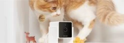 Petcube Pet Camera 1080p Hd Video Night Vision - IP Camera's - Wit 14 Petcube Pet Camera 1080p Hd Video Night Vision - IP Camera's - Wit -Huisdierbenodigdheden Korting 1200x423