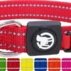 DDOXX Hondenhalsband Nylon, Reflecterend, Verstelbaar | Voor Kleine & Grote Honden | Halsband Hond Kat Puppy | Hondenhalsband Groot Breed | Kattenhalsband Puppy Halsband Klein | Rood, XS