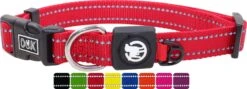 DDOXX Hondenhalsband Nylon, Reflecterend, Verstelbaar | Voor Kleine & Grote Honden | Halsband Hond Kat Puppy | Hondenhalsband Groot Breed | Kattenhalsband Puppy Halsband Klein | Rood, XS
