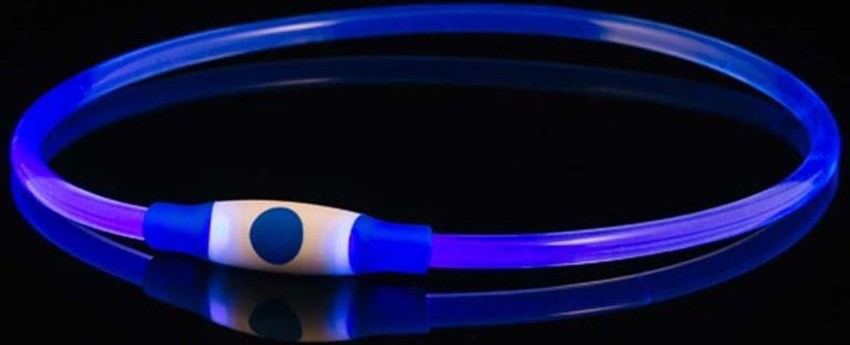 Led Dog Band USB | BEE SAFE -BLUE- | Dier Verlichting | Hondenband LED 4 Led Dog Band USB | BEE SAFE -BLUE- | Dier Verlichting | Hondenband LED - Image 2