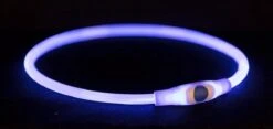 Trixie Halsband Usb Flash Light Lichtgevend Oplaadbaar Tpu Blauw - 40X0.8 CM 17 Trixie Halsband Usb Flash Light Lichtgevend Oplaadbaar Tpu Blauw - 40X0.8 CM -Huisdierbenodigdheden Korting 1200x567 3