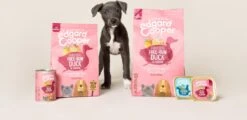 Edgard & Cooper Eend & Kip Blik - Voor Puppy's - Hondenvoer - 12 X 400 G -Huisdierbenodigdheden Korting 1200x581