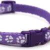 Merkloos Kattenhalsband Met Belletje - Verstelbaar - 19 / 32 Cm - Kattenbandje - Halsband Kat - Cat - Kitten - Katten Halsband - Paars -Huisdierbenodigdheden Korting 1200x595 1