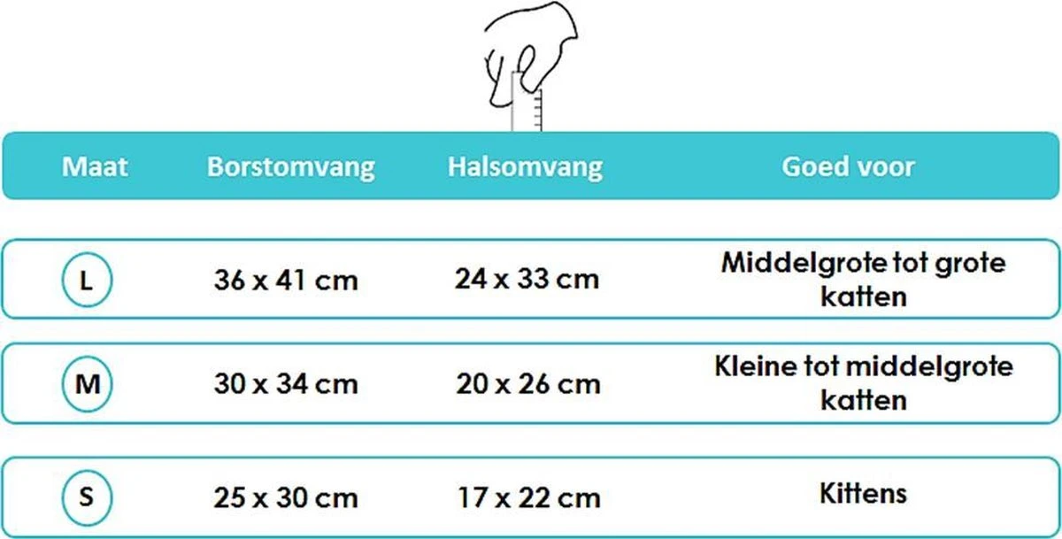 Kattentuigje Met Leiband Riem Kattenharnas Groen Maat L Kat & Kitten - Dieren Kattenriem - Cat Leash - Halsomvang 24 Tot 33cm - Borstomvang 36 Tot 41cm - Zootic® 7 Kattentuigje Met Leiband Riem Kattenharnas Groen Maat L Kat & Kitten - Dieren Kattenriem - Cat Leash - Halsomvang 24 Tot 33cm - Borstomvang 36 Tot 41cm - Zootic® - Image 5