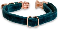 ACE Pets Kattenhalsband Met Belletje – Halsband Kat & Kitten - Kittenhalsband & Kattenbandje - Kattenbelletje - Pluche Velvet - Groen -Huisdierbenodigdheden Korting 1200x611 6