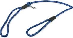 Merkloos Slipriem - Nylon - Riem Voor Hond - Blauw -Huisdierbenodigdheden Korting 1200x629