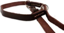 Multifunctionele Hondenriem - 220cm - Bruin - Leren Hondenriem - 100% Volnerfleer - Hondenriem Leer - Leiband Hond 16 Multifunctionele Hondenriem - 220cm - Bruin - Leren Hondenriem - 100% Volnerfleer - Hondenriem Leer - Leiband Hond -Huisdierbenodigdheden Korting 1200x631