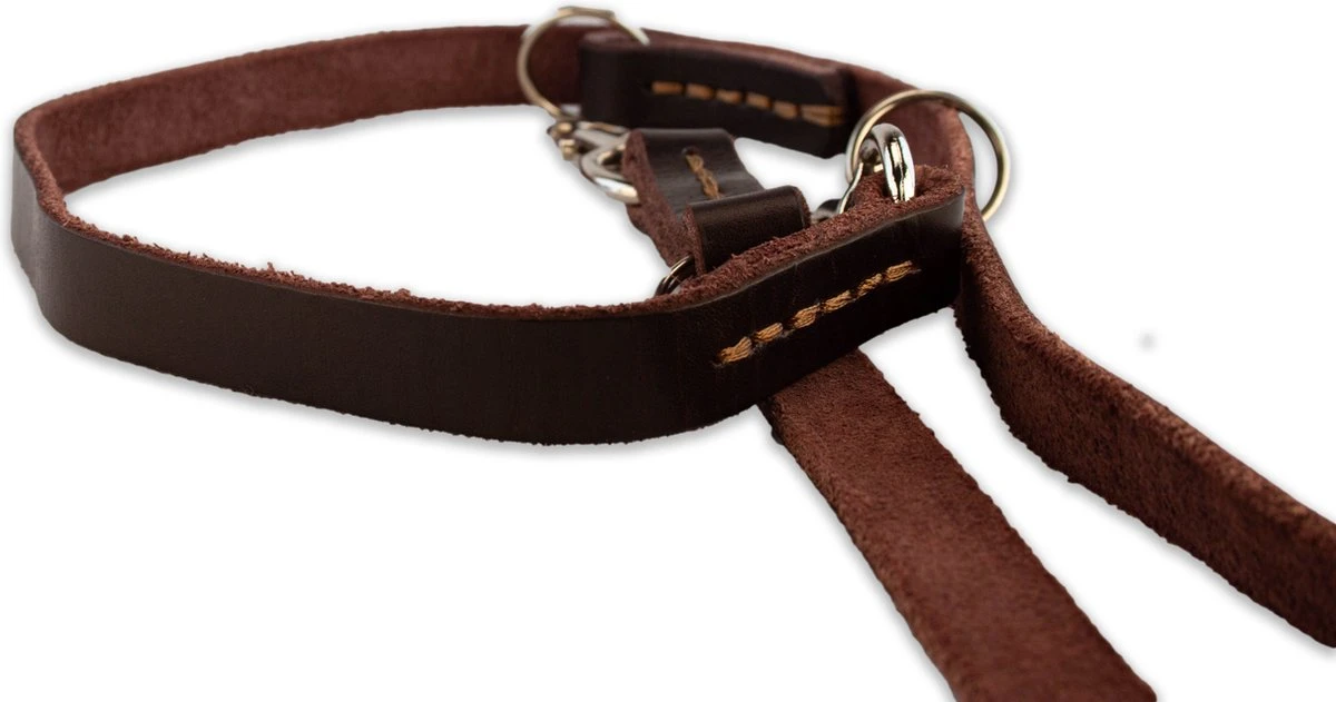 Multifunctionele Hondenriem - 220cm - Bruin - Leren Hondenriem - 100% Volnerfleer - Hondenriem Leer - Leiband Hond 7 Multifunctionele Hondenriem - 220cm - Bruin - Leren Hondenriem - 100% Volnerfleer - Hondenriem Leer - Leiband Hond - Image 5