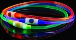 Led Dog Band USB | BEE SAFE -BLUE- | Dier Verlichting | Hondenband LED 21 Led Dog Band USB | BEE SAFE -BLUE- | Dier Verlichting | Hondenband LED -Huisdierbenodigdheden Korting 1200x636 2