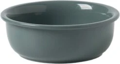 GIZMO 2x Voerbak Kat/Hond (Groot) - 800ML - Donkergroen - Keramische Drink- & Voerbakken Met Standaard - 17.5 Cm - 2 Stuks -Huisdierbenodigdheden Korting 1200x639 1