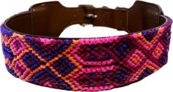 Hondenhalsband - Roze/paars - XL ( Nekomvang 53 - 63 Cm )