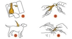 Prac-tic Grote Hond 22 Tot 50 Kg - 1 St à 3 Pipetten -Huisdierbenodigdheden Korting 1200x662 2