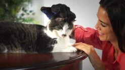 Vacht Verzorgingsborstel Voor Huisdieren - Blauw - LimitedDeals - Voor Honden Katten Konijnen Paarden - Tevens Massage Handschoen Voor Dieren! - Goed Voor De Verzorging Van De Vacht 18 Vacht Verzorgingsborstel Voor Huisdieren - Blauw - LimitedDeals - Voor Honden Katten Konijnen Paarden - Tevens Massage Handschoen Voor Dieren! - Goed Voor De Verzorging Van De Vacht -Huisdierbenodigdheden Korting 1200x674 1