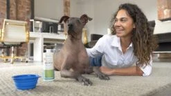 OxyFresh Pet Mondwater Hond En Kat. Helpt Tegen Tandsteen, Plak En Vieze Ademgeurtjes -Huisdierbenodigdheden Korting 1200x675 1