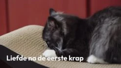 Snoozle Loop Krabpaal Voor Katten - Zwart - 86cm - Krabmeubel Voor Grote Katten - Karton -Huisdierbenodigdheden Korting 1200x675 15