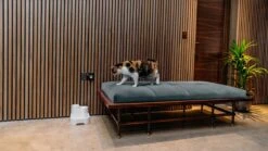 Cat Mate - Waterfontein Kat - Kattenfontein - Drinkfontein Kat - Fluisterstil - Poezen Fontein - Dieren Drinkbakken - Honden Fontein - 2 L -Huisdierbenodigdheden Korting 1200x675 16