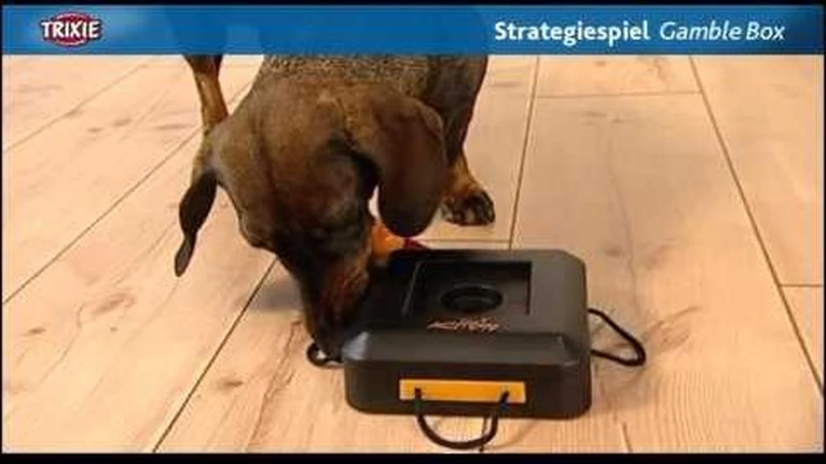 Trixie Dogtoy Dog Activity Strategy Game Gamble Box - Piepend Speelgoed - 15cm X 15cm X 9cm - Zwart/rood/oranje 15 Trixie Dogtoy Dog Activity Strategy Game Gamble Box - Piepend Speelgoed - 15cm X 15cm X 9cm - Zwart/rood/oranje - Image 13