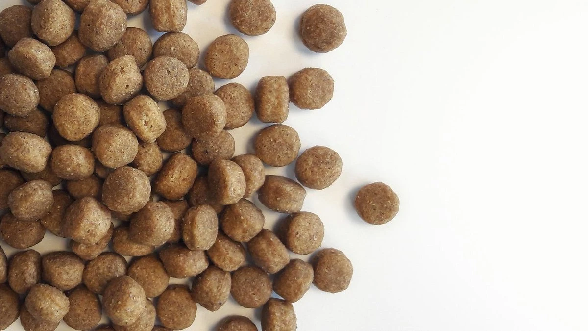 Carocroc Puppy Large Breed 3 KG 9 Carocroc Puppy Large Breed 3 KG - Image 7