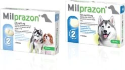 Milprazon Ontworming Hond 4 Tabletten -Huisdierbenodigdheden Korting 1200x676 1