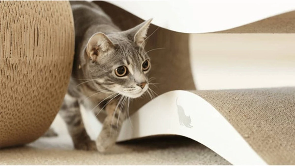 MyKotty LUI - Krabpaal - Wit - 75 X 25 Cm 4 MyKotty LUI - Krabpaal - Wit - 75 X 25 Cm - Image 2