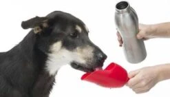 KONG H2O 740 Ml Rvs Waterfles Zwart -Huisdierbenodigdheden Korting 1200x684 1