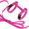 Kattentuigje Met Looplijn Kattenharnas Kittentuigje Kattenriem Met Looplijn Kat Kitten Tuigje Verstelbaar - Roze -Huisdierbenodigdheden Korting 1200x687 7