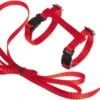 Kattentuigje Met Looplijn Kattenharnas Katten Riem Met Looplijn Kat Verstelbaar - Rood 1 Kattentuigje Met Looplijn Kattenharnas Katten Riem Met Looplijn Kat Verstelbaar - Rood -Huisdierbenodigdheden Korting 1200x687 8