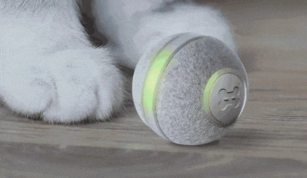 Cheerble Mini Ball 2.0 - Slimme Interactieve Zelf Rollende Bal Voor Katten - 3 Speelmodi - Kattenspeeltjes - USB Oplaadbaar - Rood 12 Cheerble Mini Ball 2.0 - Slimme Interactieve Zelf Rollende Bal Voor Katten - 3 Speelmodi - Kattenspeeltjes - USB Oplaadbaar - Rood - Image 10