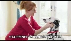 Beaphar Tandpasta - 100 Gr -Huisdierbenodigdheden Korting 1200x697 2