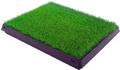 Merkloos Maoo Premium Hondentoilet - Geurbestendig & Hondvriendelijk Kunstgras - Uitneembare Opvangbak - Indoor En Outdoor - 63 X 50 Cm -Huisdierbenodigdheden Korting 1200x698