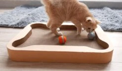 Cheerble Mini Ball 2.0 - Slimme Interactieve Zelf Rollende Bal Voor Katten - 3 Speelmodi - Kattenspeeltjes - USB Oplaadbaar - Rood 25 Cheerble Mini Ball 2.0 - Slimme Interactieve Zelf Rollende Bal Voor Katten - 3 Speelmodi - Kattenspeeltjes - USB Oplaadbaar - Rood -Huisdierbenodigdheden Korting 1200x699 1