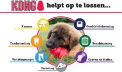 Kong Puppy - Kauwbot Hondenspeelgoed Small - Kauwbot - 85mm X 42mm - Groen/Wit -Huisdierbenodigdheden Korting 1200x704 5