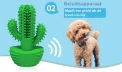 Tandenborstel + TANDPASTA Hond Melk Geur Smaak En Piep Honden Speelgoed - Cactus Dog Toy Tandverzorging Kauwbotten Hondenspeelgoed Hondenbot Kauwstaaf Tanden Puppy Hondenspeeltje Sterk Kauwspeelgoed - Dutchwide -Huisdierbenodigdheden Korting 1200x707