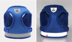 Merkloos Verstelbaar Kattentuigje Reflecterend - Kattenharnas - Kattentuig Met Looplijn - Blauw - Maat S -Huisdierbenodigdheden Korting 1200x708 7