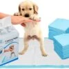 Mr. Poop Toodeloo -Puppy Pads - Training Pads - Maat S: 45 X 33cm - 30 Stuks 2 Mr. Poop Toodeloo -Puppy Pads - Training Pads - Maat S: 45 X 33cm - 30 Stuks -Huisdierbenodigdheden Korting 1200x717 1