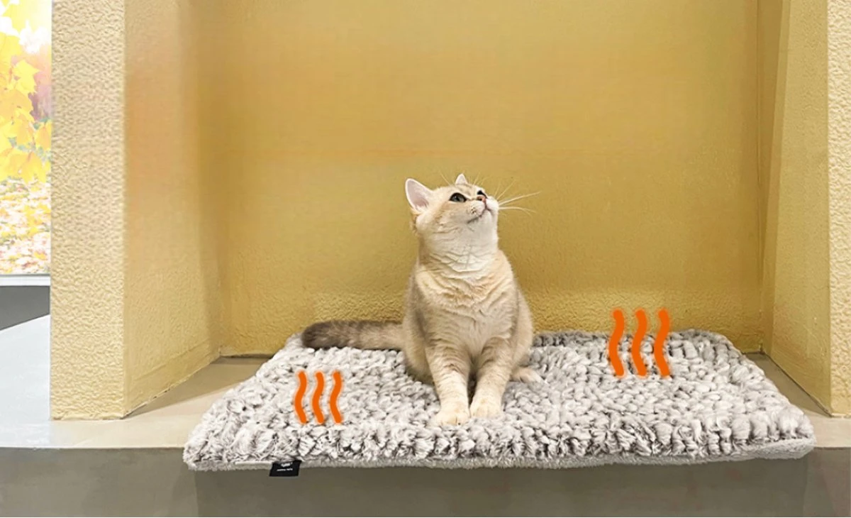 Merkloos Zelfverwarmende Dierendeken Zonder Stroom Thermo Deken Hond Kat Inclusief Adreslabel 70 X 47 Cm 10 Merkloos Zelfverwarmende Dierendeken Zonder Stroom Thermo Deken Hond Kat Inclusief Adreslabel 70 X 47 Cm - Image 8